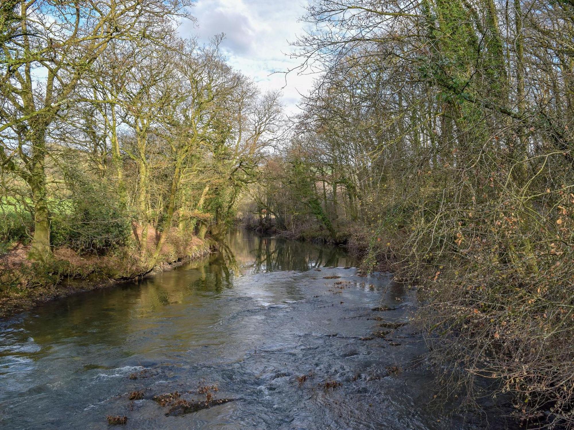 Cothi Cottage Llanfynydd Dış mekan fotoğraf